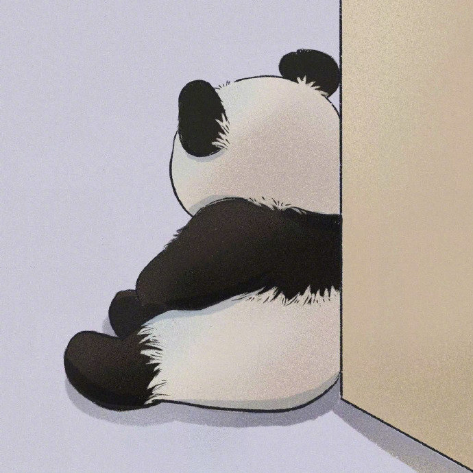 博主头像